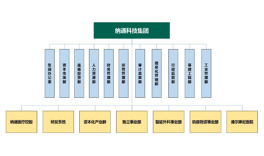 组织结构